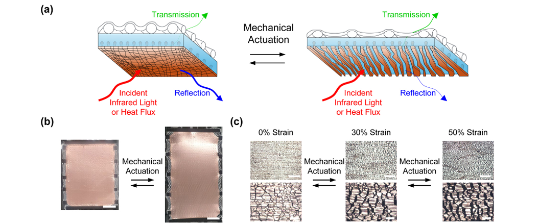 Surface morphologies, adaptive infrared properties, and dynamic thermoregulatory functionalities of the fabric-integrated composite materials.